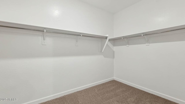 walk in closet featuring carpet floors