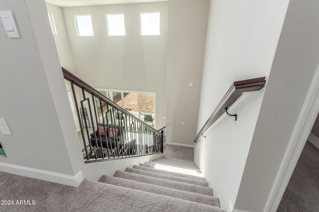 stairway featuring carpet