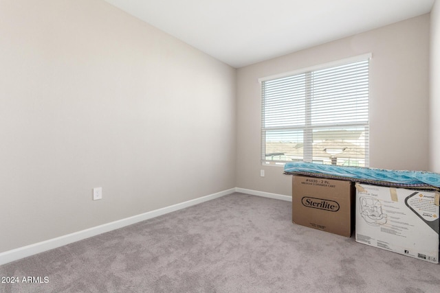 unfurnished bedroom with light carpet