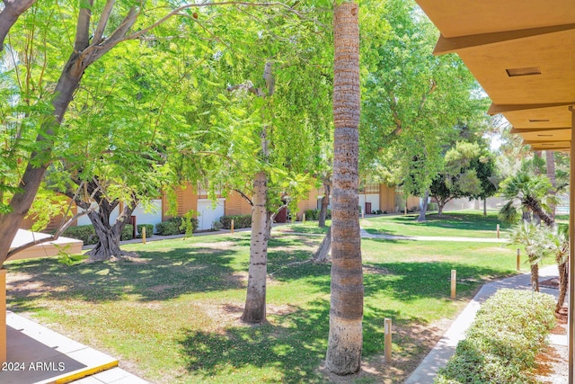 6125 E Indian School Rd Unit 240, Scottsdale, AZ 85251 - view of green lawn