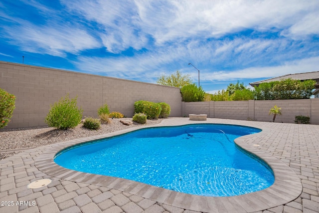view of pool featuring a fenced backyard and a patio