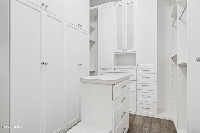 13750 E Yucca St, Scottsdale, AZ 85259 - spacious closet featuring dark wood finished floors