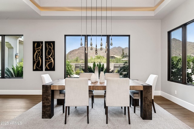 13750 E Yucca St, Scottsdale, AZ 85259 - dining space with a tray ceiling, wood finished floors, baseboards, and a mountain view