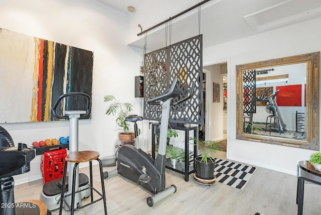 exercise room featuring light hardwood / wood-style floors