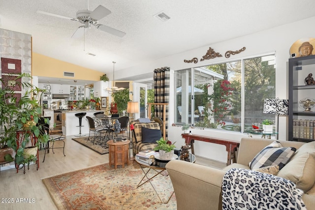 living room featuring a healthy amount of sunlight, light hardwood / wood-style flooring, vaulted ceiling, and a textured ceiling