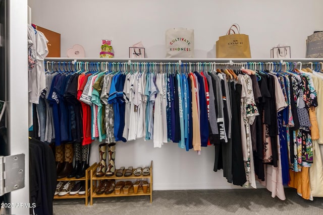 spacious closet featuring carpet