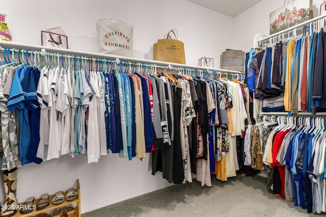 walk in closet featuring carpet