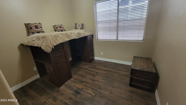 interior space with dark wood-type flooring