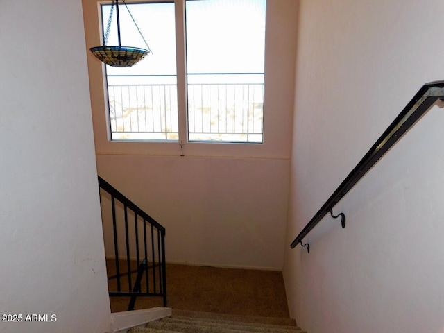 stairway featuring carpet floors