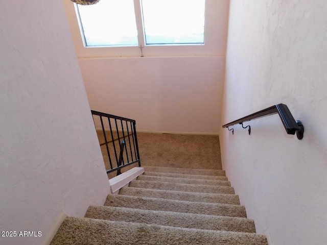 stairs with carpet floors