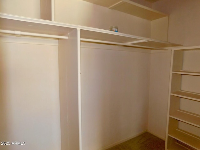 view of closet