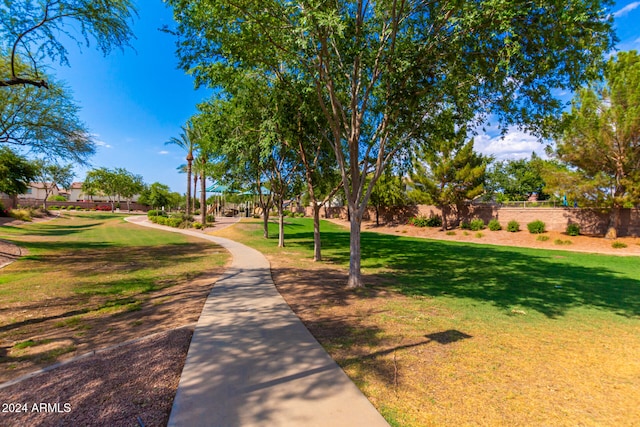 view of property's community with a yard