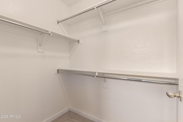 30212 N Sunray Dr, San Tan Valley, AZ 85143 - walk in closet with carpet flooring