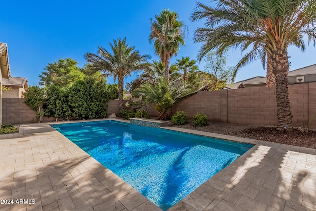 view of swimming pool with a patio