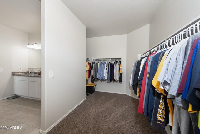 spacious closet featuring light colored carpet and sink