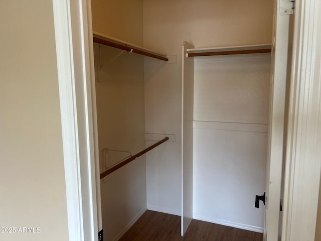 spacious closet featuring dark wood-style floors