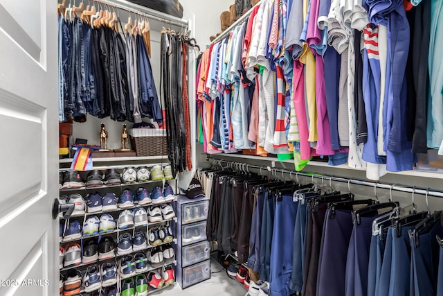 view of walk in closet