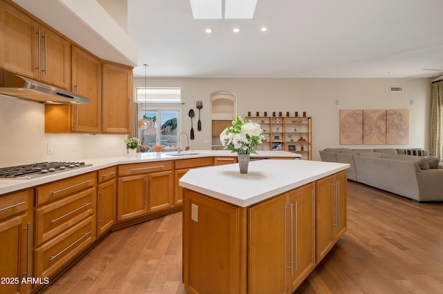 kitchen featuring open floor plan, light wood-type flooring, a skylight, and a sink