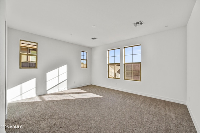 spare room with carpet floors