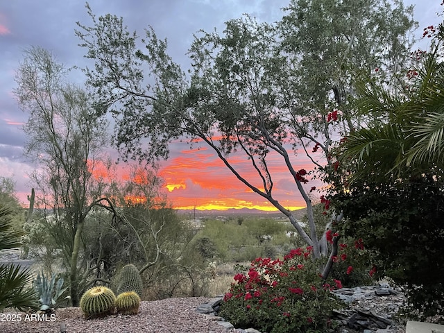 view of nature at dusk