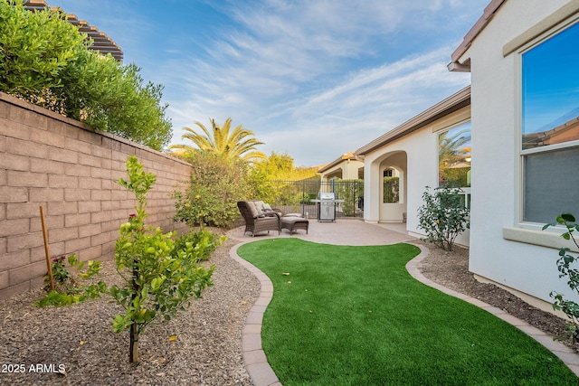 view of yard featuring a fenced backyard and a patio