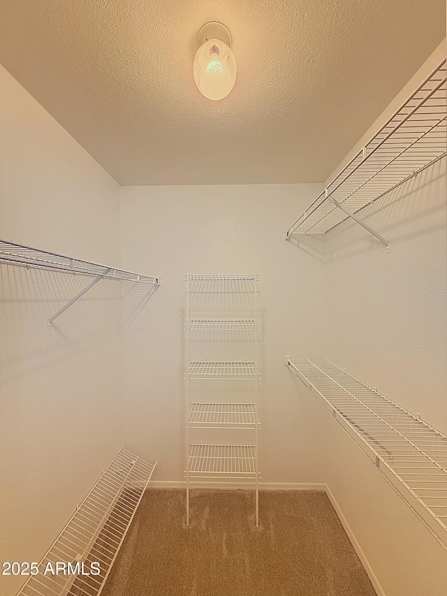 walk in closet featuring carpet flooring