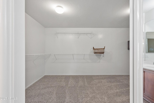 walk in closet with carpet floors