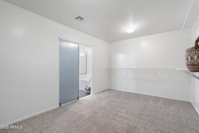 walk in closet with carpet flooring