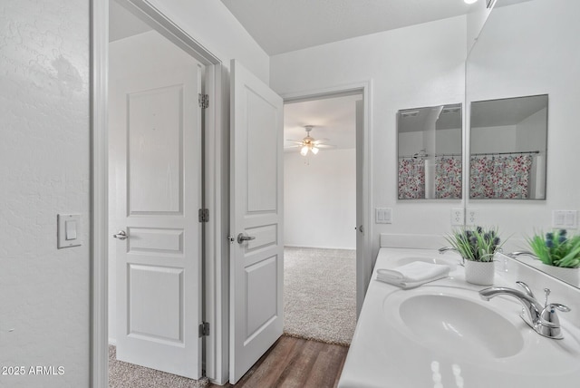 bathroom featuring hardwood / wood-style flooring and vanity