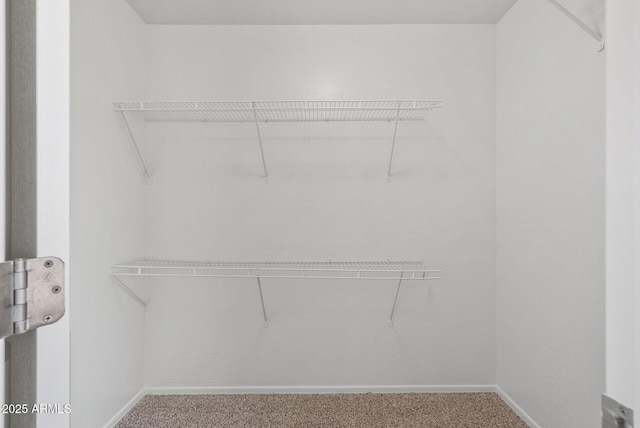 spacious closet with carpet flooring