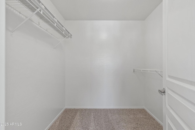 walk in closet featuring carpet floors