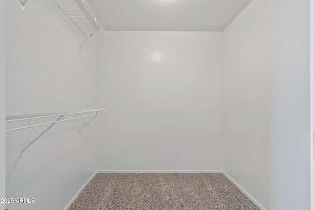 walk in closet with carpet floors