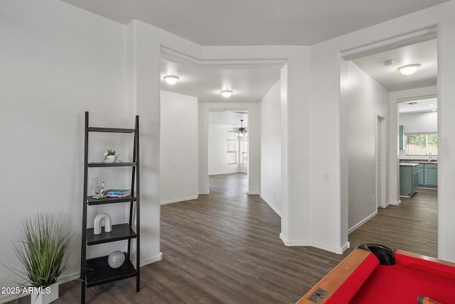 corridor featuring sink, a healthy amount of sunlight, and dark wood-type flooring