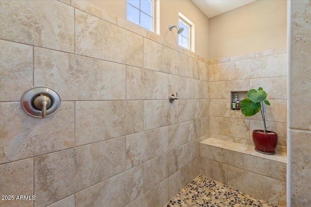 10914 E Tarragon Ave, Mesa, AZ 85212 - bathroom featuring tiled shower