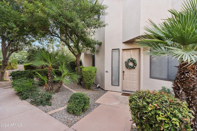 view of entrance to property