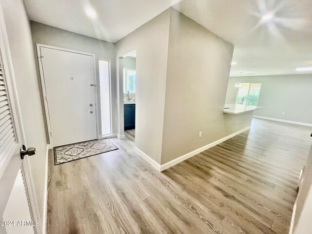 walk in closet with dark hardwood / wood-style floors