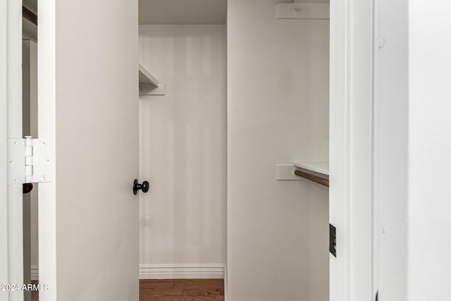 spacious closet with wood-type flooring