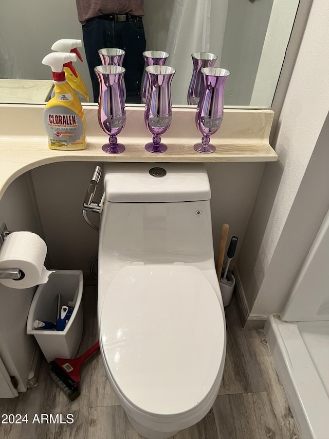 bathroom with hardwood / wood-style floors