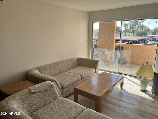 living room with hardwood / wood-style floors