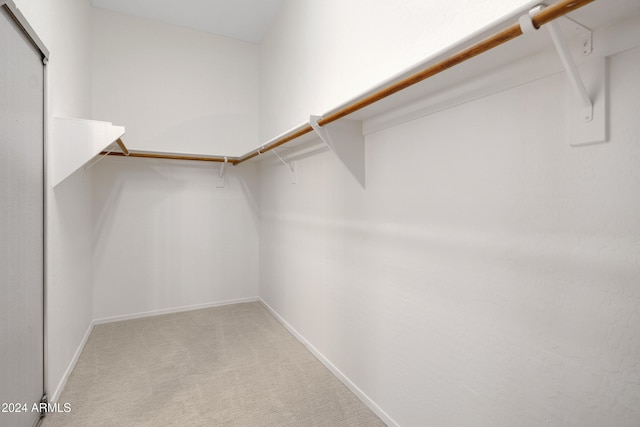 walk in closet with light colored carpet