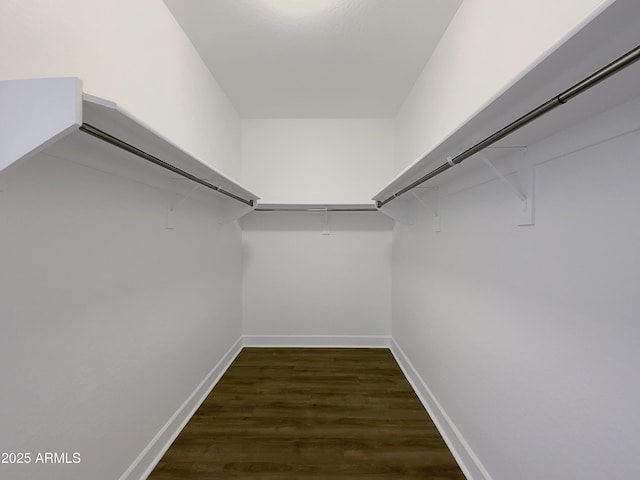 walk in closet featuring dark wood finished floors