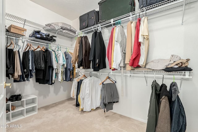 spacious closet with light colored carpet