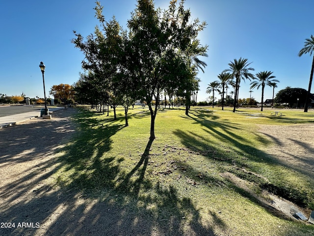 surrounding community featuring a lawn