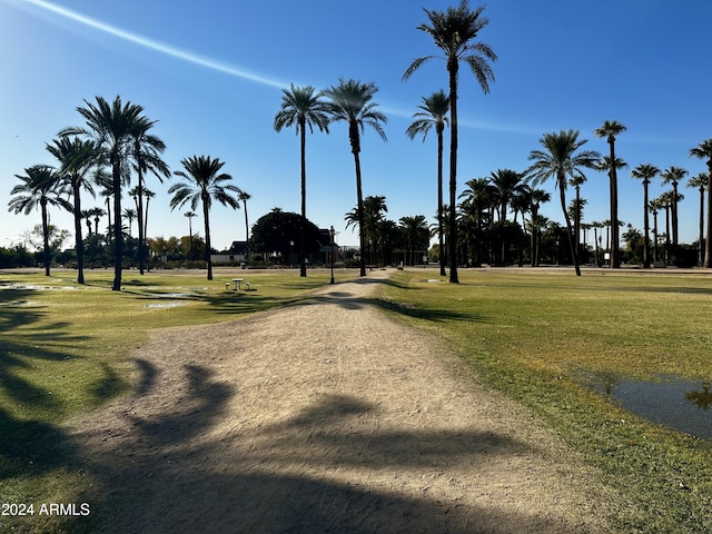 view of home's community with a lawn