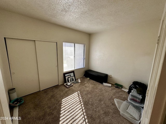 interior space featuring carpet floors, a textured ceiling, and a closet