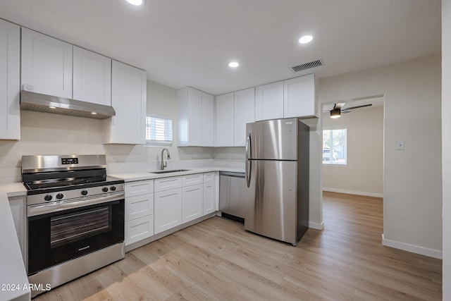 kitchen featuring a wealth of natural light, ventilation hood, sink, and appliances with stainless steel finishes