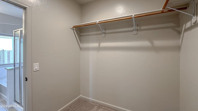 spacious closet featuring carpet flooring