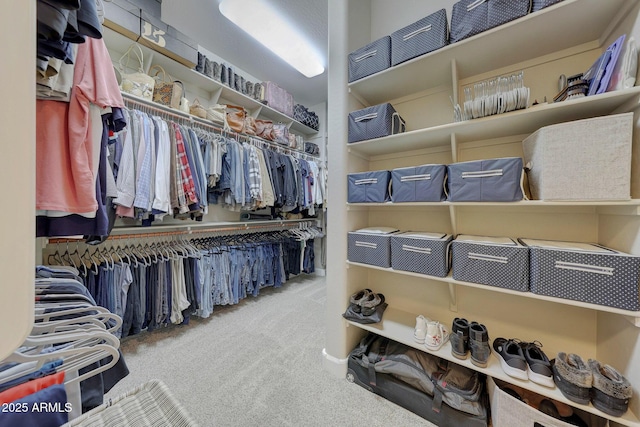 spacious closet with carpet floors