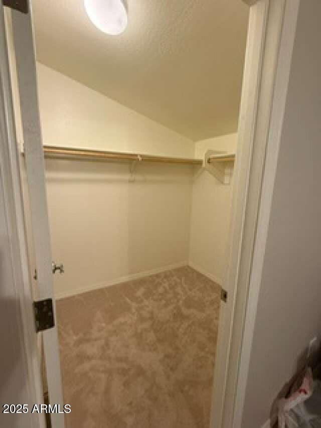 walk in closet featuring vaulted ceiling and carpet floors