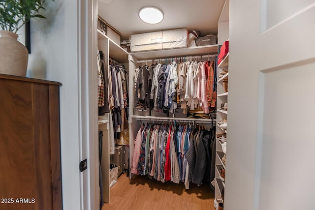 spacious closet featuring light wood-type flooring